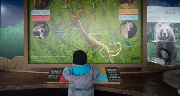 A child looks up at an interactive display about Canadian Rockies wildlife.