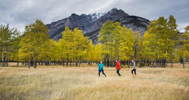 Three hikers walk in a meadow below mountains.