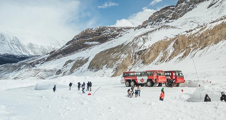 Groups of people on the Athabasca Glacier with Ice Explorer buses
