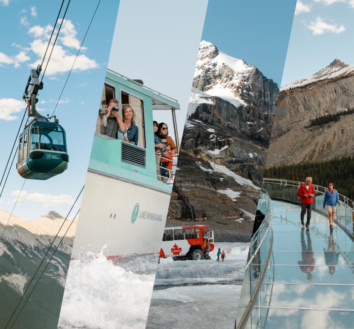tours in banff
