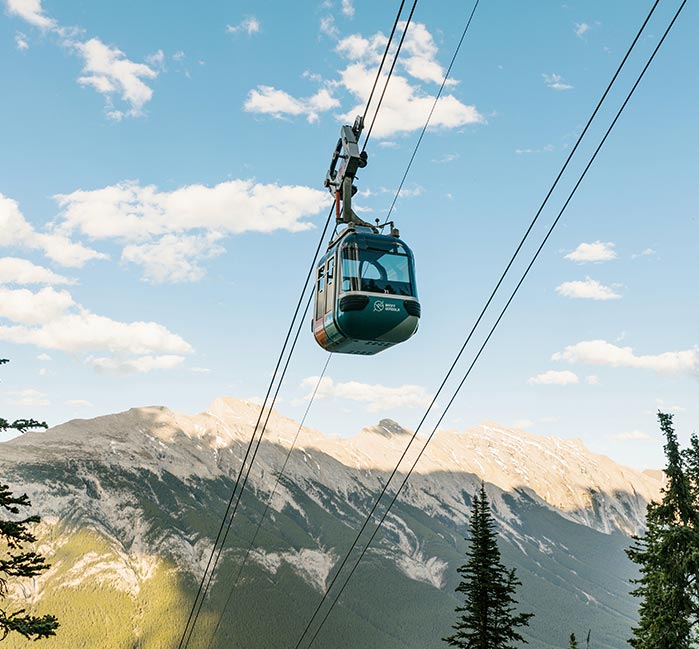 A gondola cabin ascends on a cable above trees.