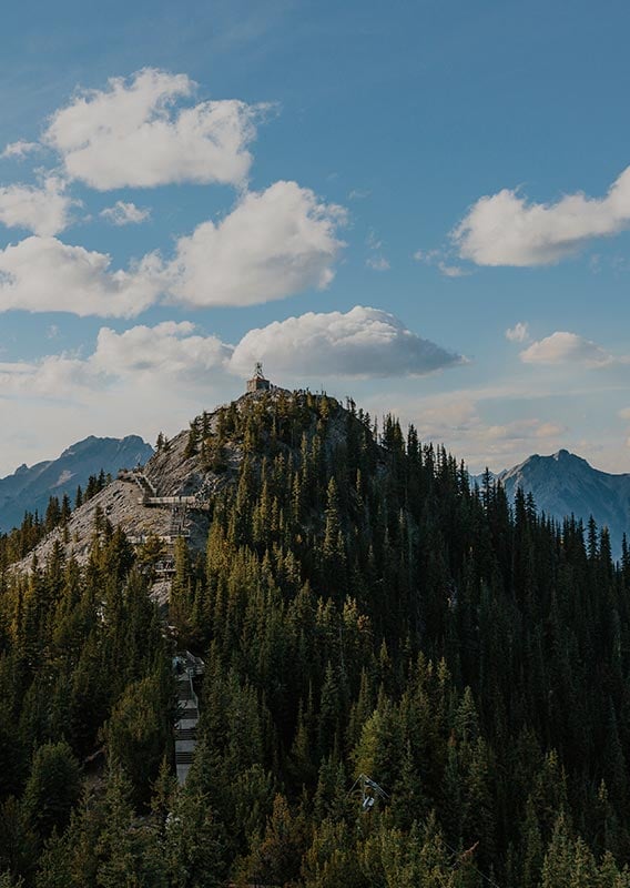 A view towards an old weather station at a tree-covered mountaintop.