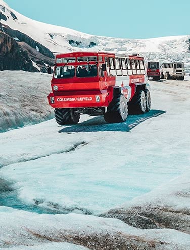 Columbia Icefield Discovery
