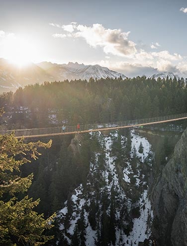 Golden Skybridge