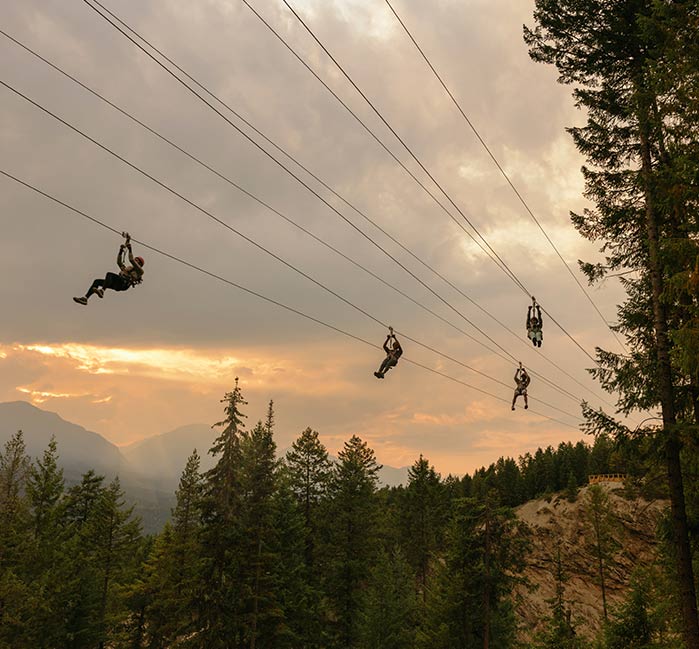 Four people ride ziplines over a forested canyon.