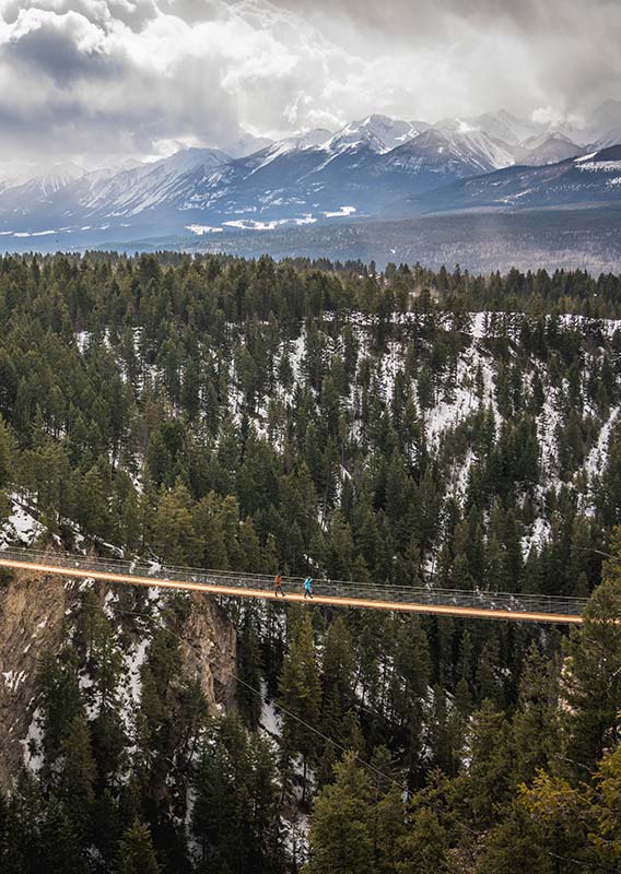 A narrow suspension footbridge stretches across a canyon.