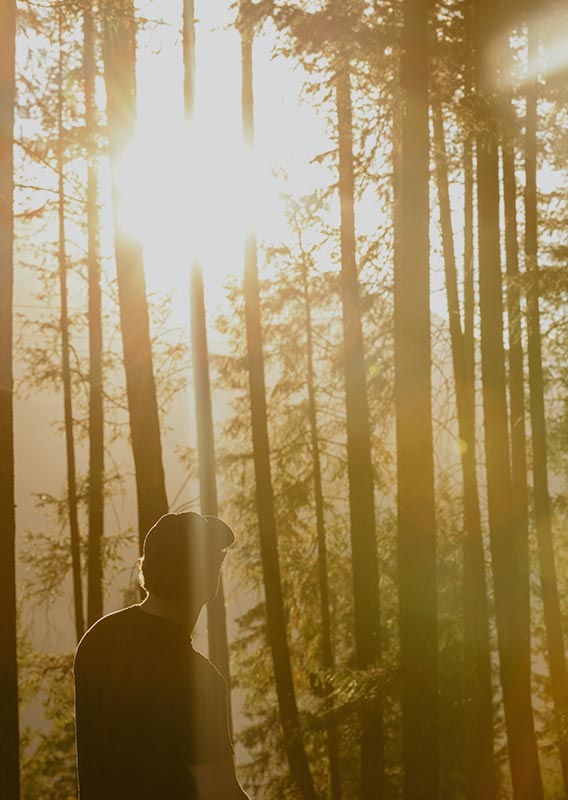 A person walks in a forest with the sun shining through.