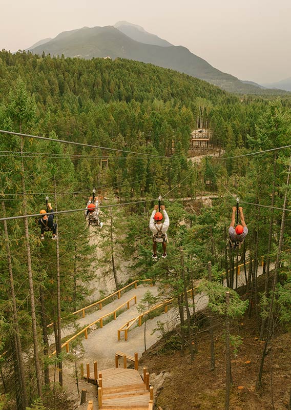 A group of four go down the zipline with trees in the background.