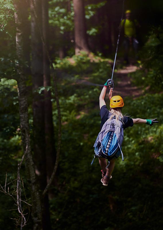 A person swings into a forest.