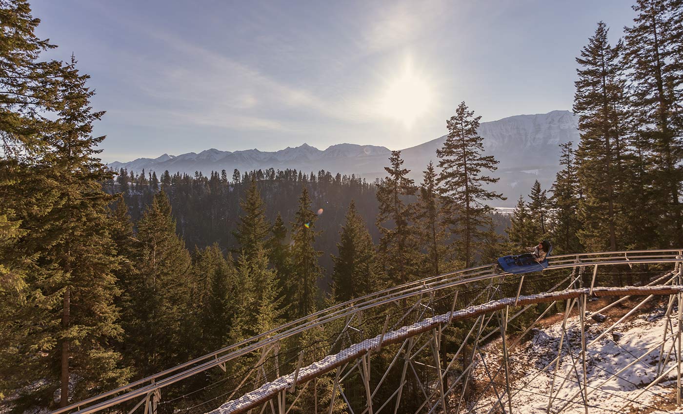 Rail Rider Mountain Coaster