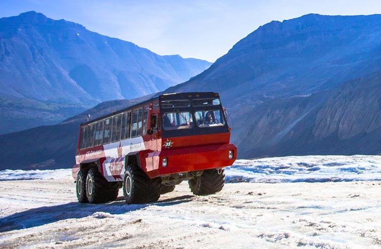 Page Field Sightseeing Tours Page Field Sightseeing Tours