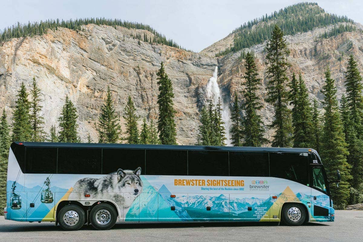 brewster tours banff to jasper