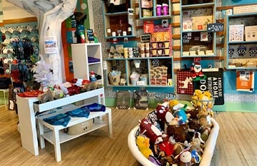 The interior of a shop of dog accessories.