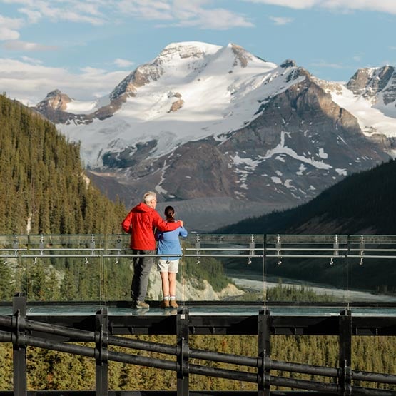 icefield helicopter tours