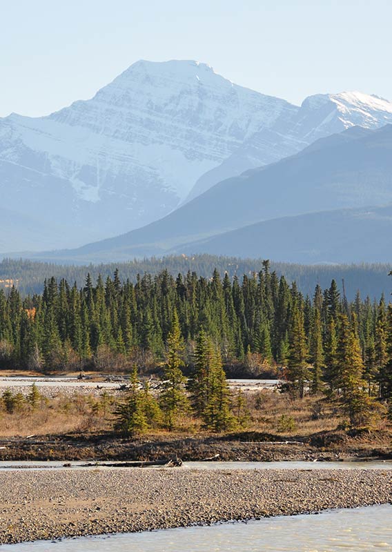 A shoreline with trees beneath a mountain range.