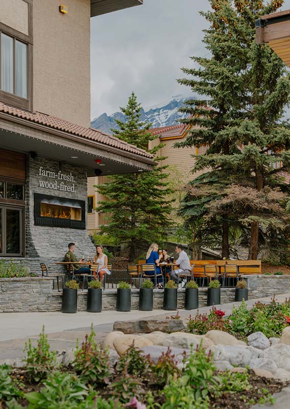 A patio outside a hotel surrounded by conifer trees.