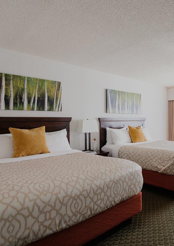 A room with two queen beds with two orange sitting chairs by a window.