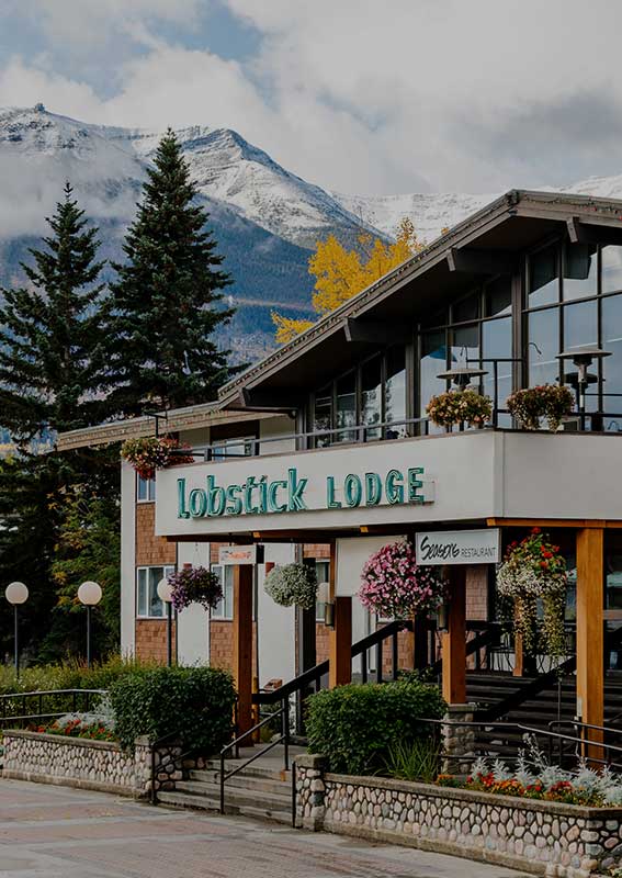 Lobstick Lodge Official Page Hotel in Jasper, AB pool, suites