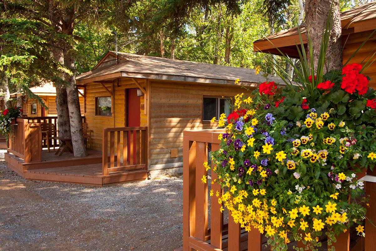 Miette Mountain Cabins Official Page Cozy Family Cabins In Jasper AB