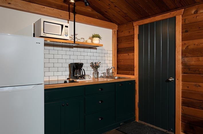 A kitchenette inside a wooden room with fridge and microwave