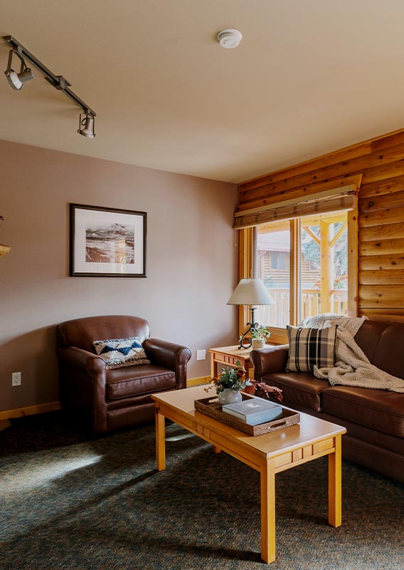 A living room inside a wooden cabin.