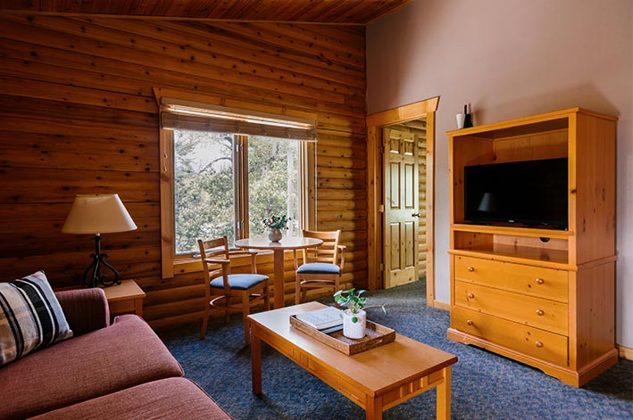 The living area of a cabin with with a fireplace and television