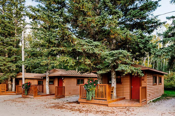 A set of wooden cabins underneath conifer trees