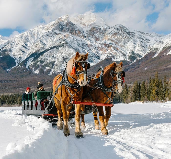 A horse drawn sleigh carries people in the snow.