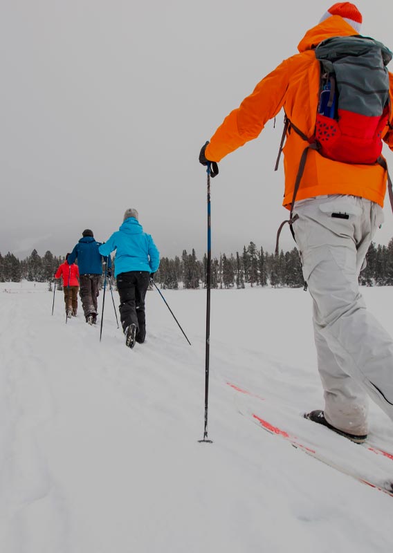 A group of cross-country skiiers ski along a snowy path