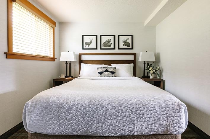 A bed in a room with a wide window above the bed.