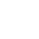 Christmas tree icon