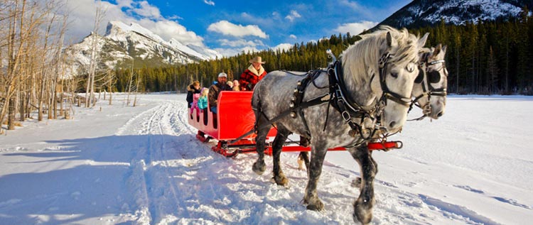 Horse-Drawn Sleigh Ride