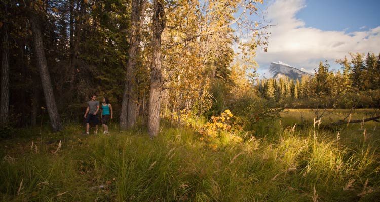 Two hikers walk along grass at a forest's edge.