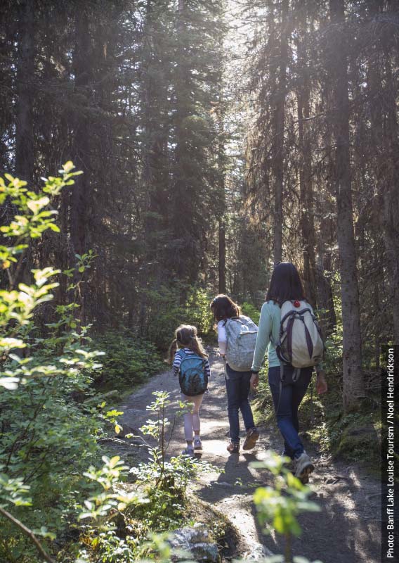 A family walks through a forest between tall pine trees and leafy understorey.