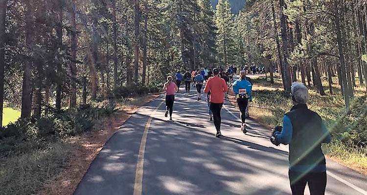 Runners run down on a road between forests.