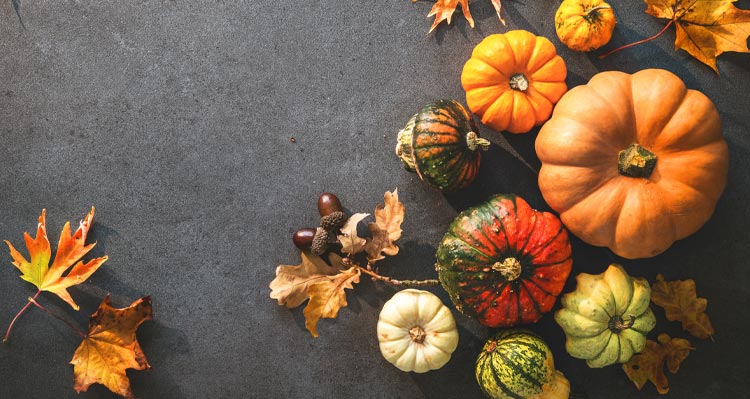 An above view of multi-coloured gourds and leaves in autumn colours.
