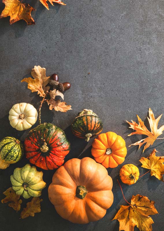 A collection of colourful gourds and fall leaves