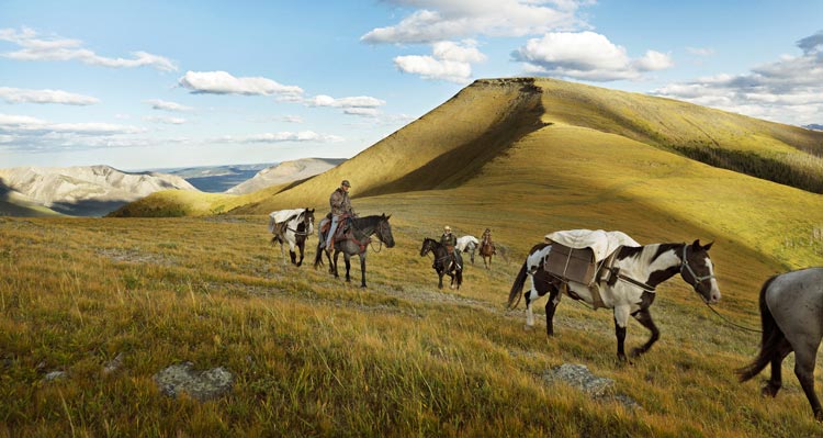 A group of horse riders and packhorses walk on grassy foothills