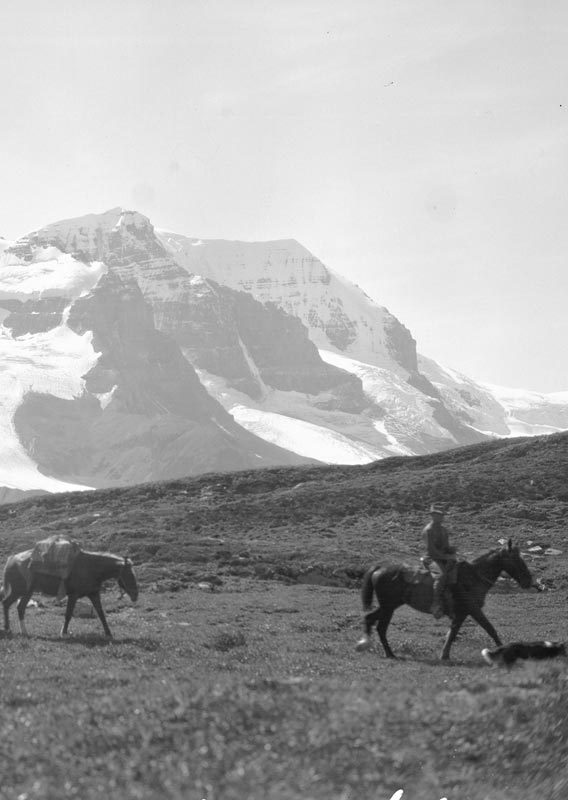 A historic photo of a horse rider and pack horses