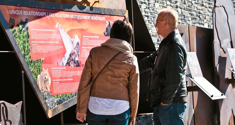Two people read a large information display about animals and ecology