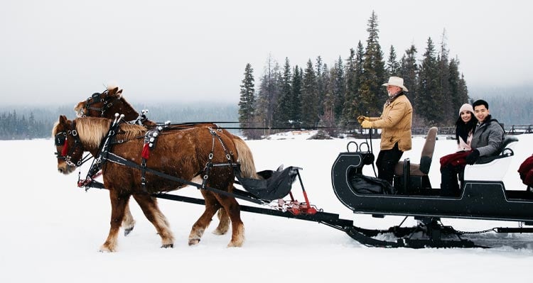 Two people and a sleigh driver ride a horse-drawn sleigh along a snowy lake shore.