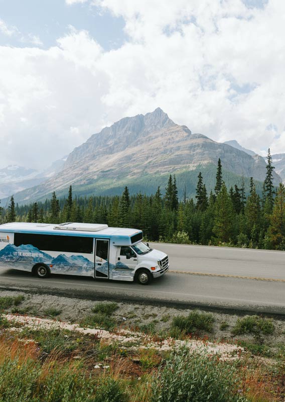 A small bus drives along a road below tall mountains and between conifer trees
