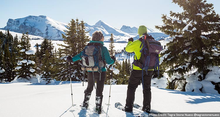 Two people stand atop a snowy ridge among trees, looking across to snowy mountains.