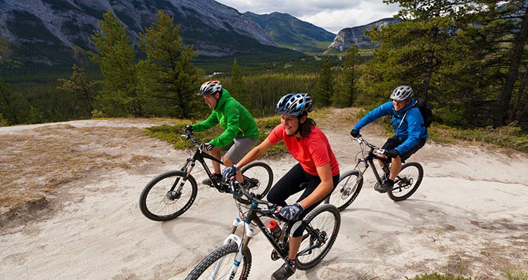 A group of mountain bikers on a trail overlooking a wide valley.