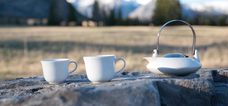 a white teapot and two white tea cups sit on a rock outside