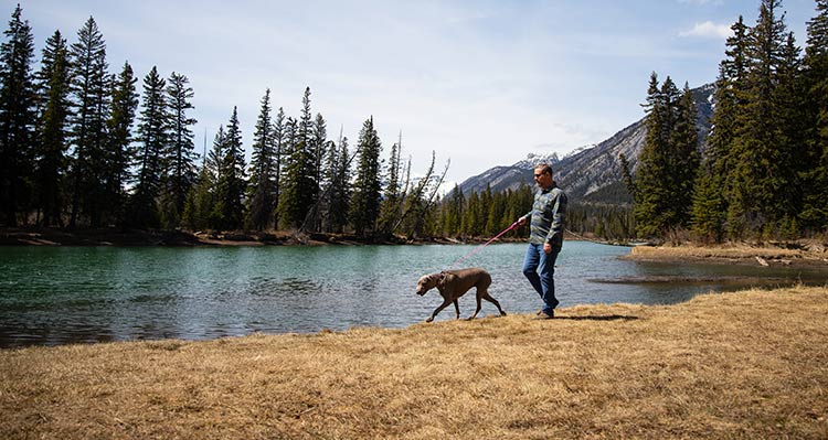 A man walks with a dog along a riverside.