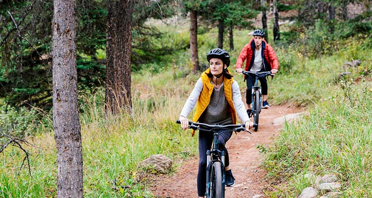 Two people ride mountain bikes down a forest trail.
