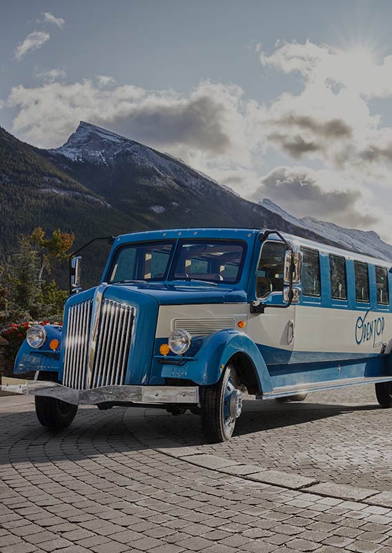 A historic-style tour vehicle on the pavement below snow-covered mountains.