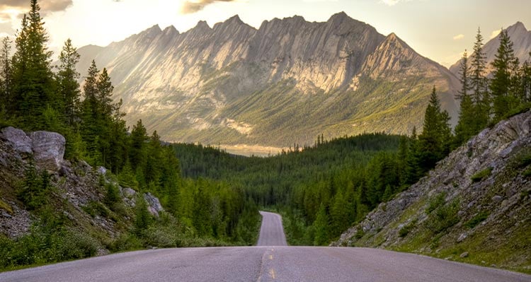 A view down a road towards a forested mountain.