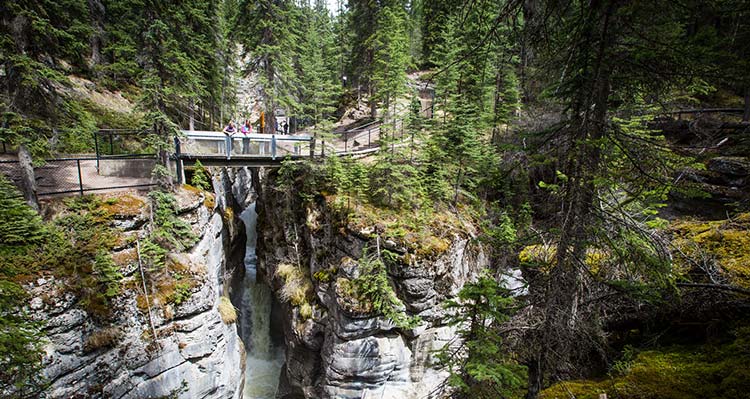 A group of hikers on a bridge over a canyon.